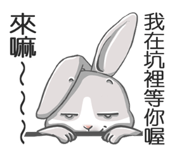 Gray bunny sticker #15534245