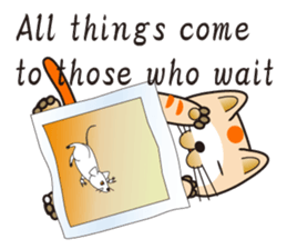 500 cats 1-428e-1 sticker #15536933