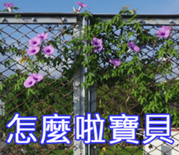 My funny sticker-4 sticker #15541842