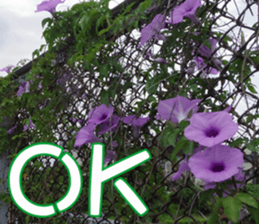 My funny sticker-4 sticker #15541848