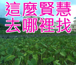 My funny sticker-4 sticker #15541859