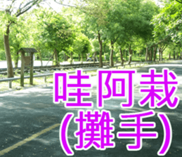 My funny sticker-4 sticker #15541860