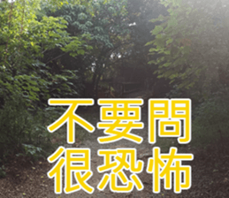 My funny sticker-4 sticker #15541863