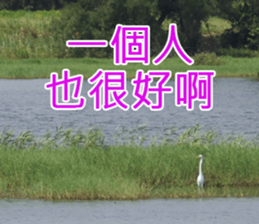 My funny sticker-4 sticker #15541866