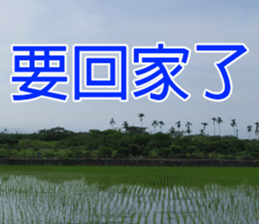 My funny sticker-4 sticker #15541872