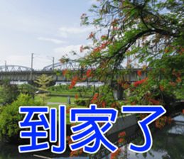 My funny sticker-4 sticker #15541873