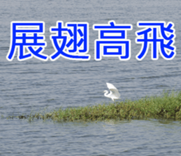 My funny sticker-4 sticker #15541881