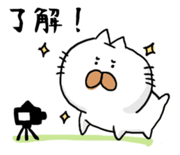camera cat-san sticker #15543324