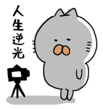 camera cat-san sticker #15543330