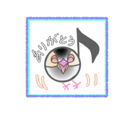 Javasparrow and music sticker #15544974
