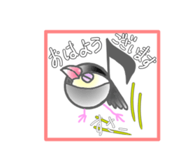 Javasparrow and music sticker #15544977