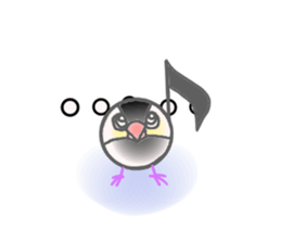 Javasparrow and music sticker #15544995