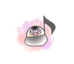 Javasparrow and music sticker #15544998