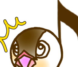 Javasparrow and music sticker #15545005