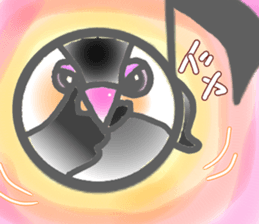 Javasparrow and music sticker #15545007