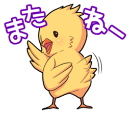 The chick fuasan's sticker sticker #15545385