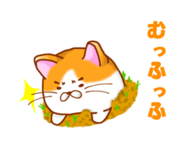 Praire cats sticker #15546130
