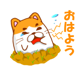 Praire cats sticker #15546131