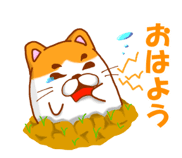 Praire cats sticker #15546131