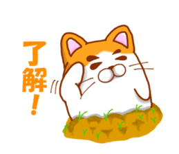 Praire cats sticker #15546143