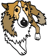 Shetlandsheepdog Sticker 5 sticker #15548002