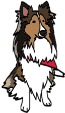 Shetlandsheepdog Sticker 5 sticker #15548003