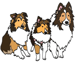 Shetlandsheepdog Sticker 5 sticker #15548005