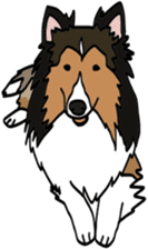 Shetlandsheepdog Sticker 5 sticker #15548009