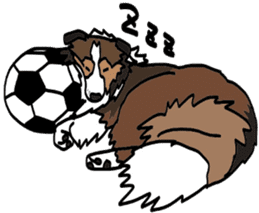 Shetlandsheepdog Sticker 5 sticker #15548010