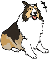 Shetlandsheepdog Sticker 5 sticker #15548011