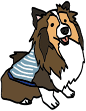 Shetlandsheepdog Sticker 5 sticker #15548014