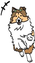 Shetlandsheepdog Sticker 5 sticker #15548017