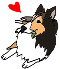 Shetlandsheepdog Sticker 5 sticker #15548018