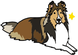 Shetlandsheepdog Sticker 5 sticker #15548020