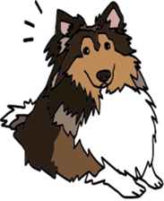 Shetlandsheepdog Sticker 5 sticker #15548022