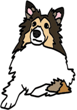Shetlandsheepdog Sticker 5 sticker #15548023