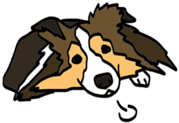 Shetlandsheepdog Sticker 5 sticker #15548024