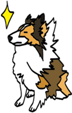 Shetlandsheepdog Sticker 5 sticker #15548025