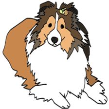 Shetlandsheepdog Sticker 5 sticker #15548026