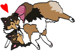Shetlandsheepdog Sticker 5 sticker #15548027