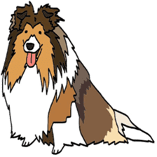 Shetlandsheepdog Sticker 5 sticker #15548029