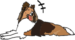 Shetlandsheepdog Sticker 5 sticker #15548030