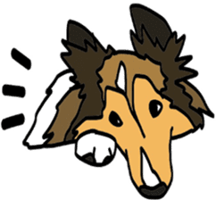 Shetlandsheepdog Sticker 5 sticker #15548031