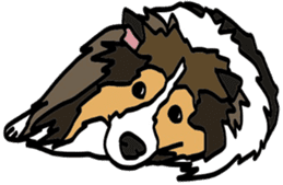 Shetlandsheepdog Sticker 5 sticker #15548032