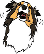Shetlandsheepdog Sticker 5 sticker #15548033