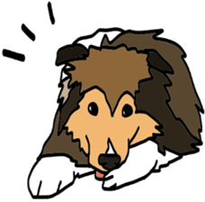 Shetlandsheepdog Sticker 5 sticker #15548034