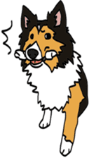 Shetlandsheepdog Sticker 5 sticker #15548036