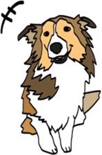 Shetlandsheepdog Sticker 5 sticker #15548037