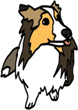 Shetlandsheepdog Sticker 5 sticker #15548040