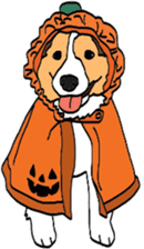 Shetlandsheepdog Sticker 5 sticker #15548041